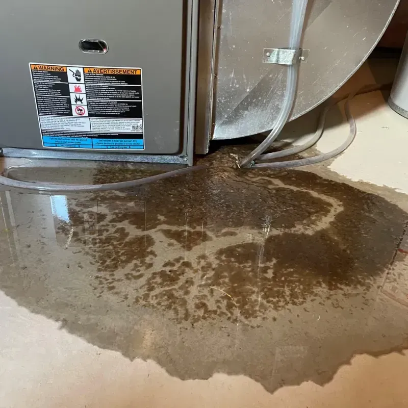 Appliance Leak Cleanup in Maplewood, WA